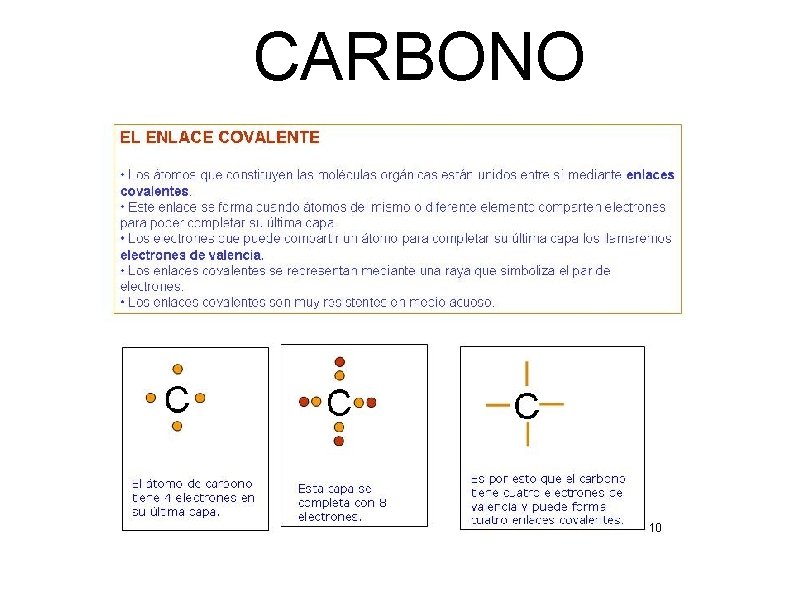 CARBONO 