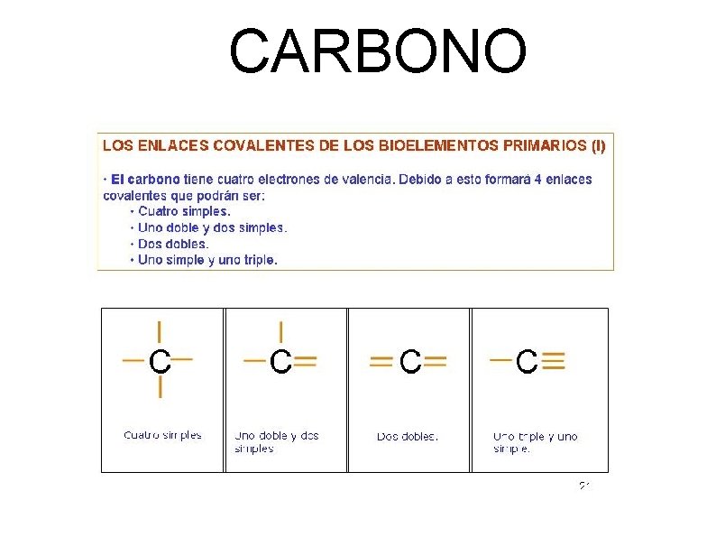 CARBONO 