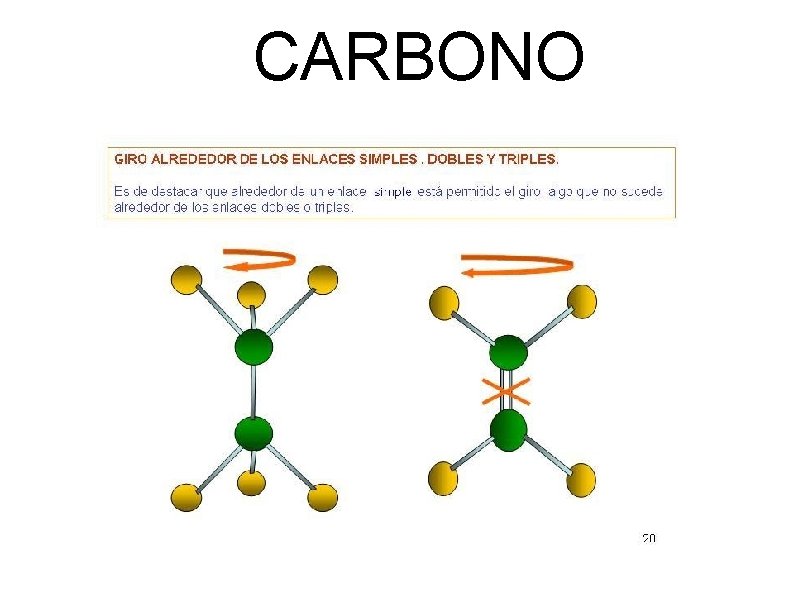 CARBONO 