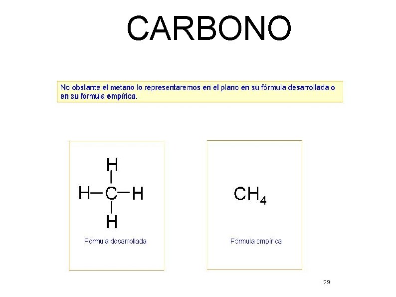 CARBONO 