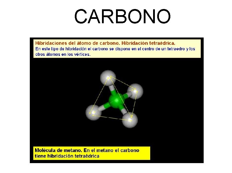 CARBONO 