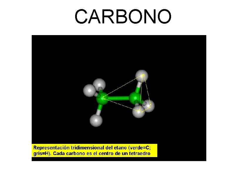 CARBONO 