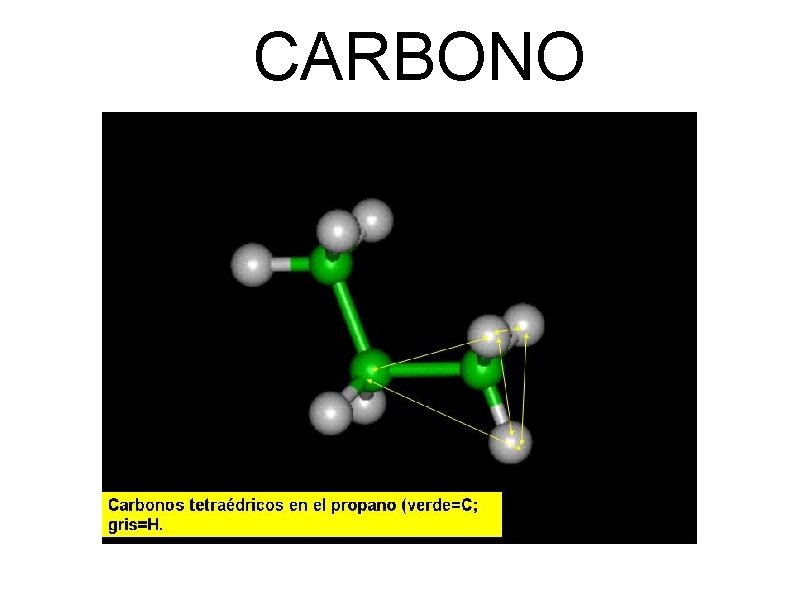 CARBONO 