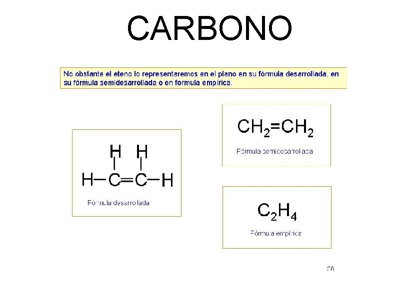 CARBONO 