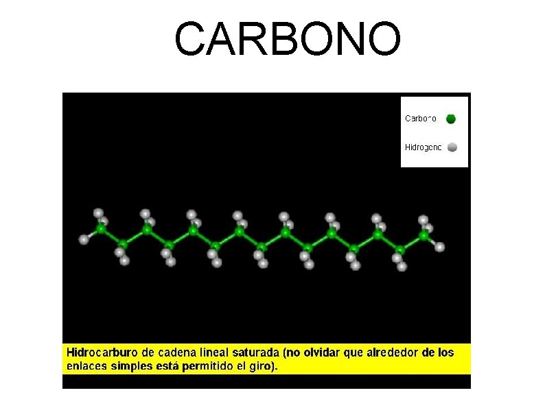 CARBONO 