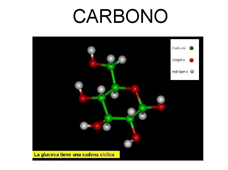 CARBONO 