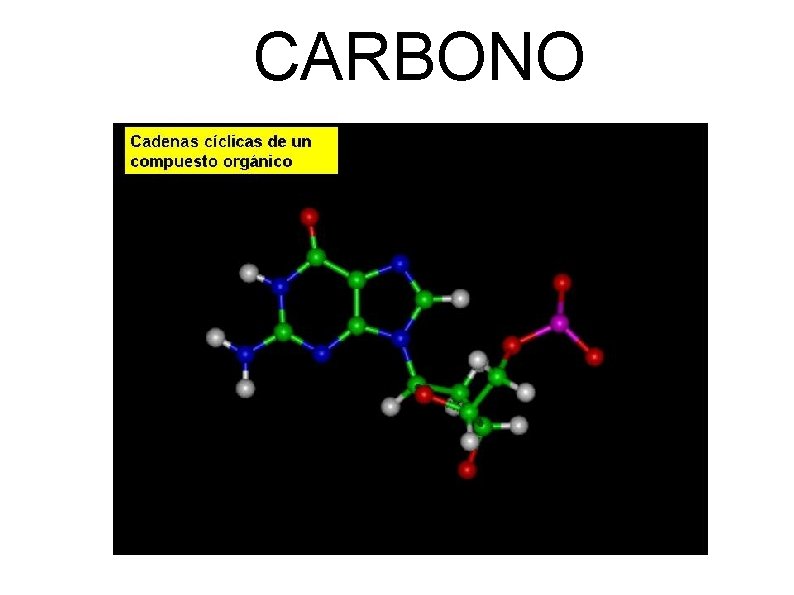 CARBONO 