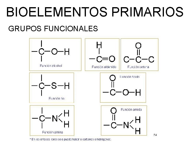 BIOELEMENTOS PRIMARIOS GRUPOS FUNCIONALES 