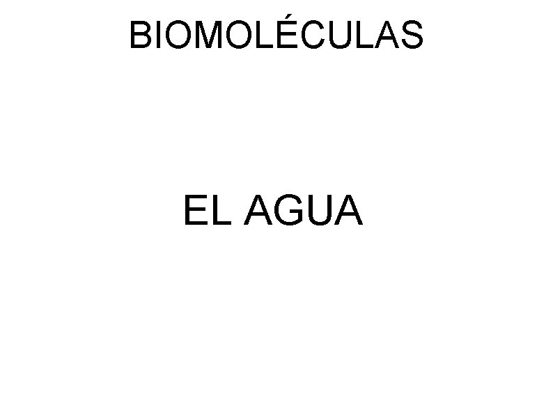 BIOMOLÉCULAS EL AGUA 