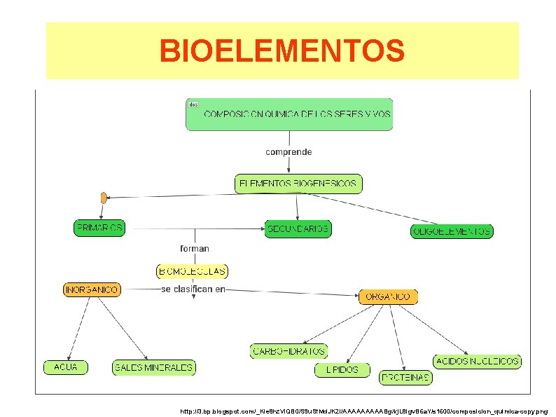 BIOELEMENTOS http: //3. bp. blogspot. com/_Kie 8 hz. Vl. QB 0/S 9 u. Sf.