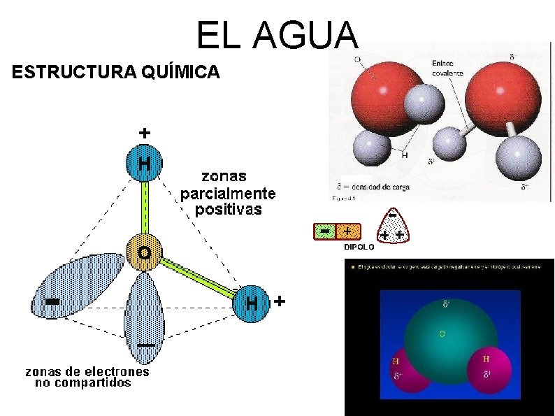 EL AGUA ESTRUCTURA QUÍMICA 