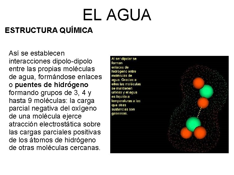 EL AGUA ESTRUCTURA QUÍMICA Así se establecen interacciones dipolo-dipolo entre las propias moléculas de