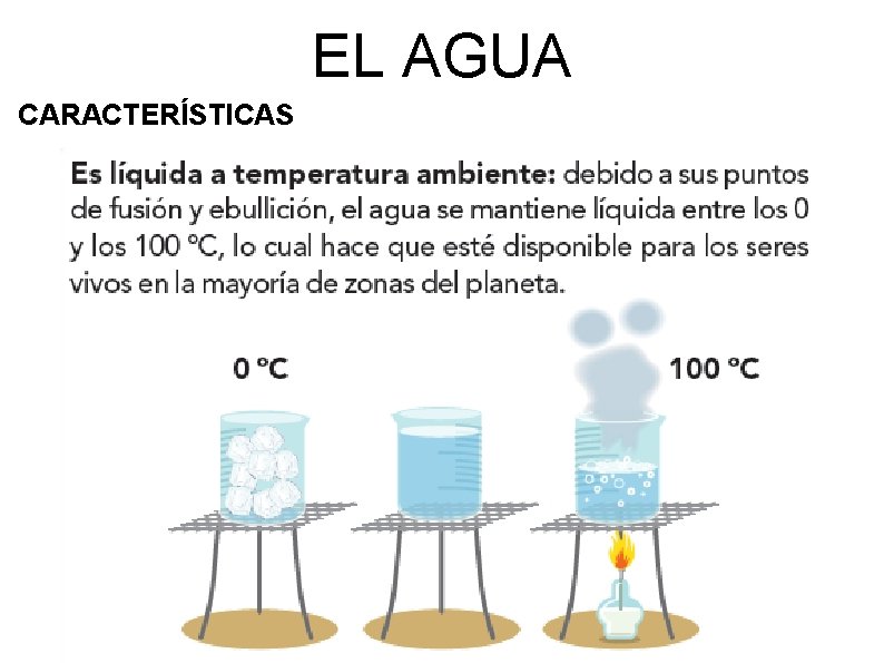 EL AGUA CARACTERÍSTICAS 