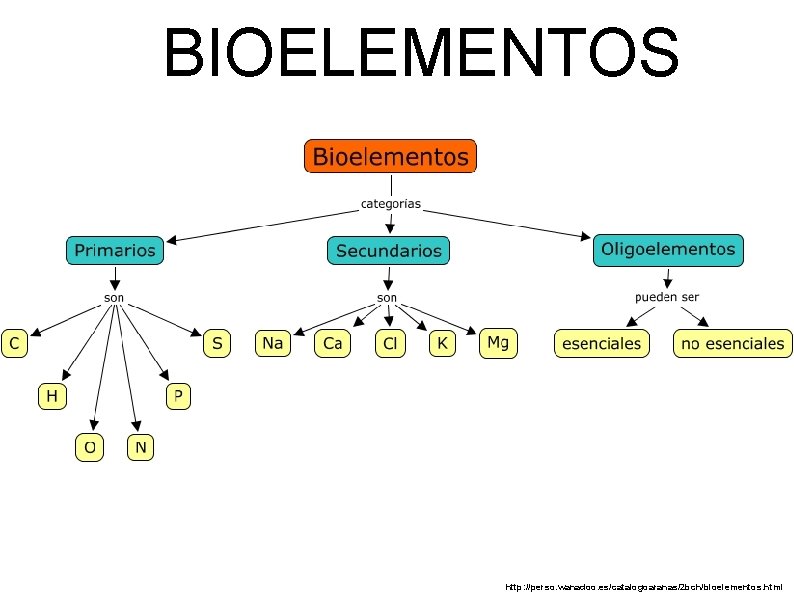 BIOELEMENTOS http: //perso. wanadoo. es/catalogoaranas/2 bch/bioelementos. html 