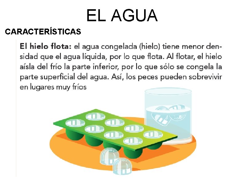 EL AGUA CARACTERÍSTICAS 