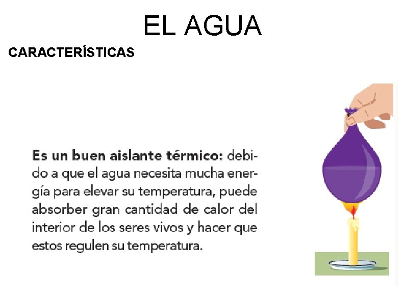 EL AGUA CARACTERÍSTICAS 