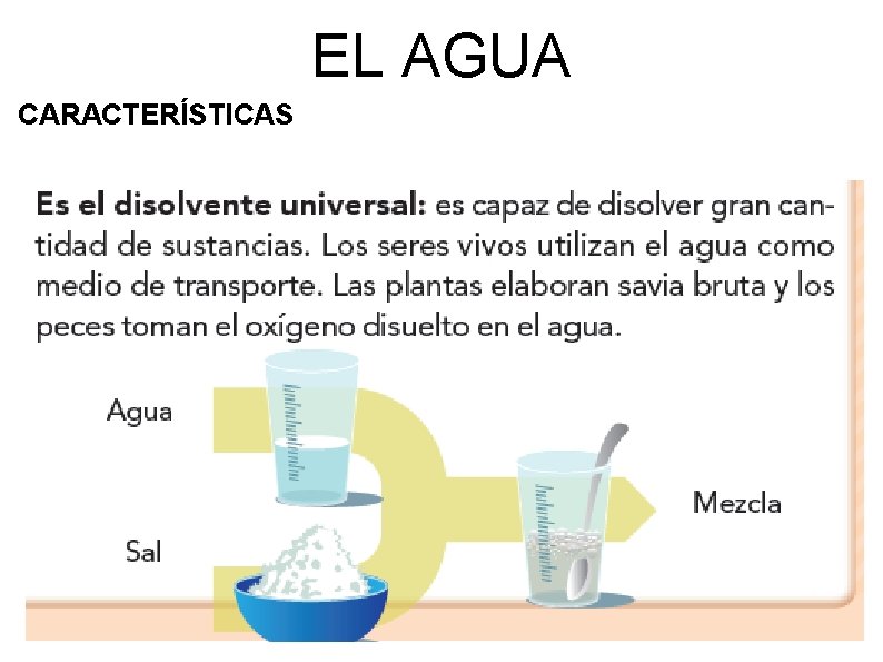 EL AGUA CARACTERÍSTICAS 