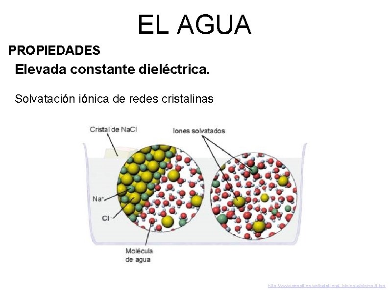 EL AGUA PROPIEDADES Elevada constante dieléctrica. Solvatación iónica de redes cristalinas http: //www. geocities.