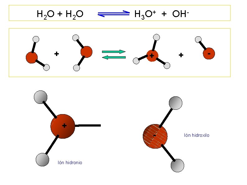 H 2 O + H 3 O+ + OH- + + - Ión hidronio