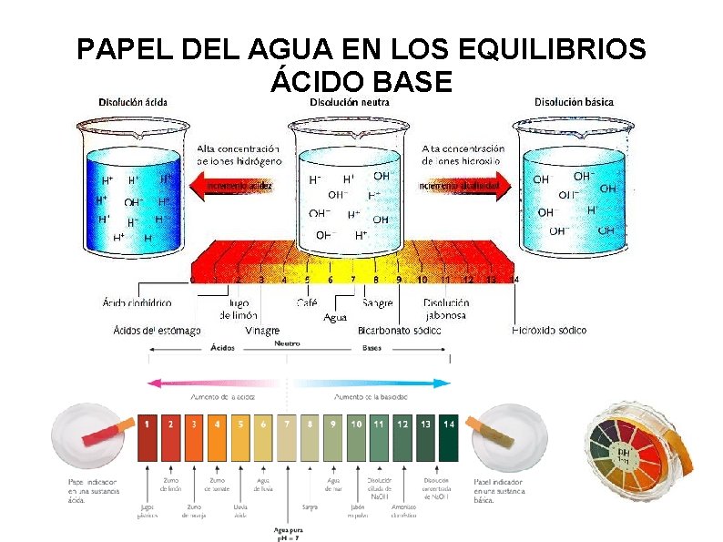 PAPEL DEL AGUA EN LOS EQUILIBRIOS ÁCIDO BASE 