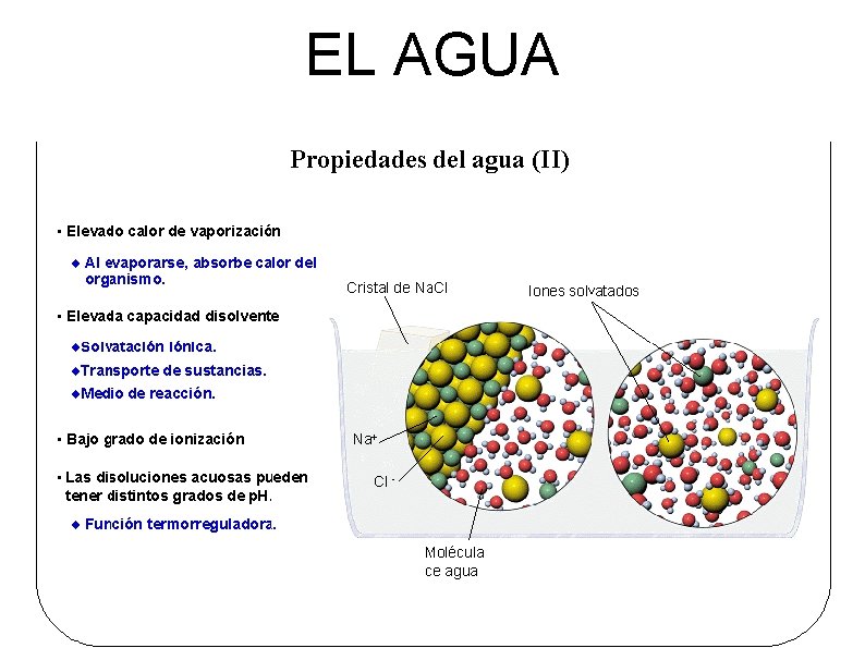 EL AGUA 