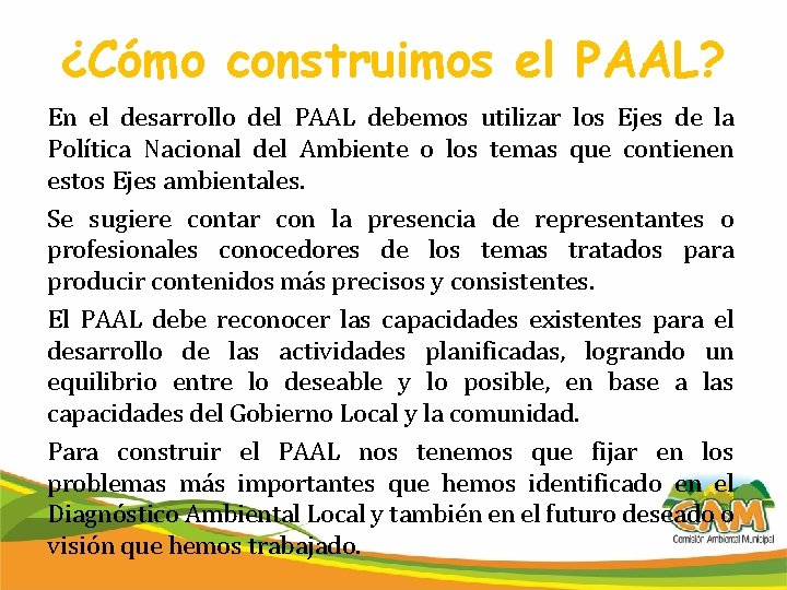 ¿Cómo construimos el PAAL? En el desarrollo del PAAL debemos utilizar los Ejes de