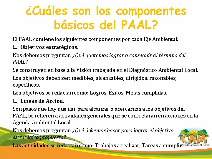 ¿Cuáles son los componentes básicos del PAAL? El PAAL contiene los siguientes componentes por