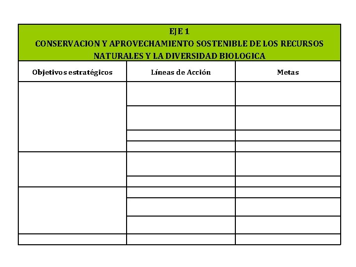 EJE 1 CONSERVACION Y APROVECHAMIENTO SOSTENIBLE DE LOS RECURSOS NATURALES Y LA DIVERSIDAD BIOLOGICA