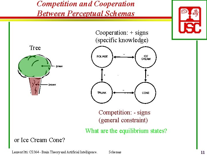 Competition and Cooperation Between Perceptual Schemas Cooperation: + signs (specific knowledge) Tree Competition: -