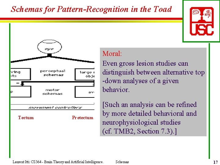 Schemas for Pattern-Recognition in the Toad Moral: Even gross lesion studies can distinguish between