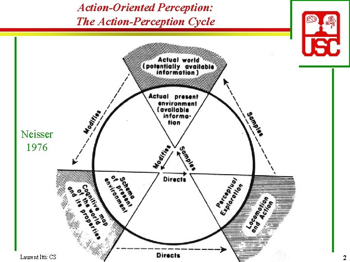 Action-Oriented Perception: The Action-Perception Cycle Neisser 1976 Laurent Itti: CS 564 - Brain Theory