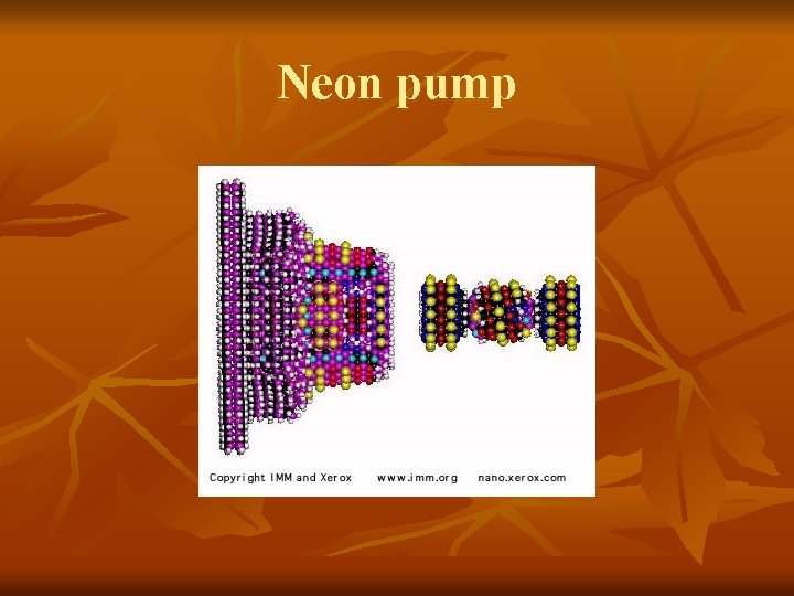 Neon pump 