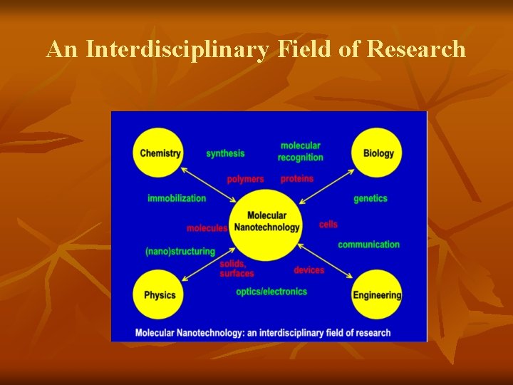 An Interdisciplinary Field of Research 