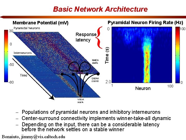 Basic Network Architecture Membrane Potential (m. V) 30 { Pyramidal Neuron Firing Rate (Hz)