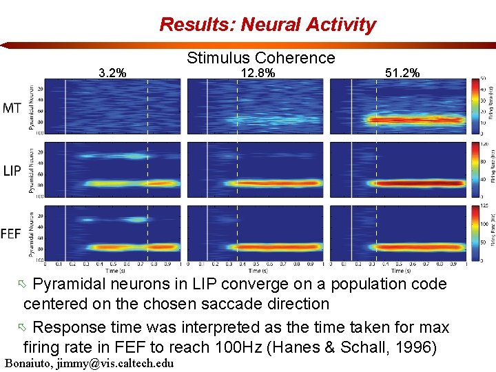 Results: Neural Activity 3. 2% Stimulus Coherence 12. 8% 51. 2% Pyramidal neurons in