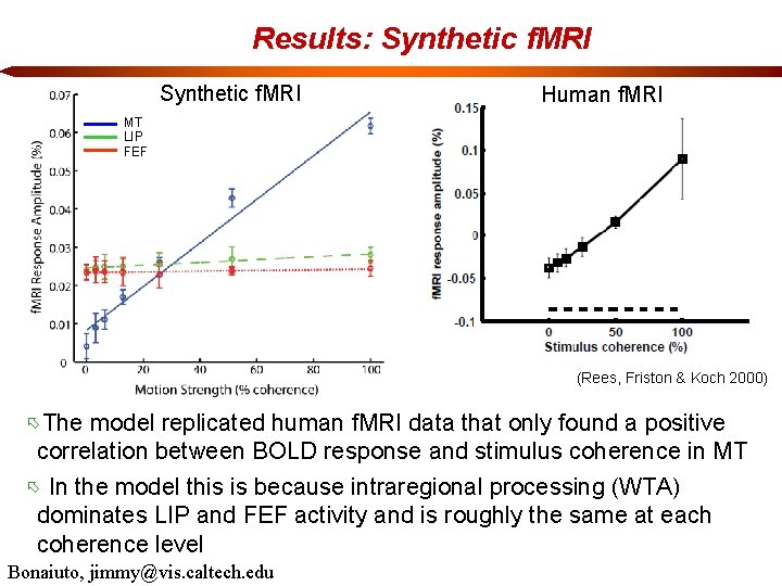 Results: Synthetic f. MRI Human f. MRI MT LIP FEF (Rees, Friston & Koch