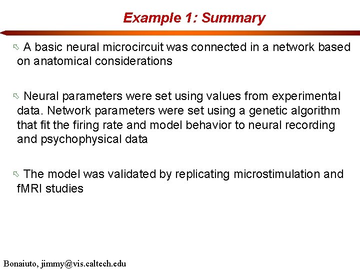 Example 1: Summary A basic neural microcircuit was connected in a network based on