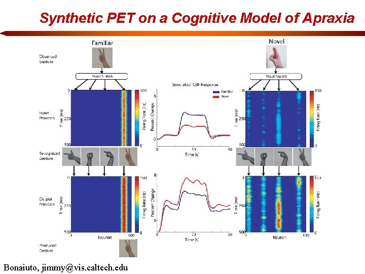 Synthetic PET on a Cognitive Model of Apraxia Bonaiuto, jimmy@vis. caltech. edu 