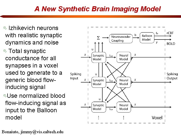 A New Synthetic Brain Imaging Model Izhikevich neurons with realistic synaptic dynamics and noise