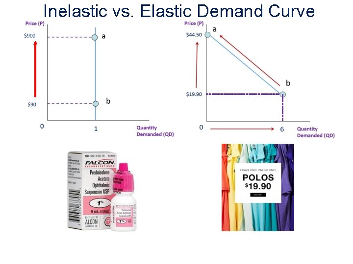 Inelastic vs. Elastic Demand Curve 