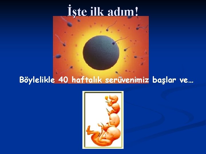 İşte ilk adım! Böylelikle 40 haftalık serüvenimiz başlar ve… 
