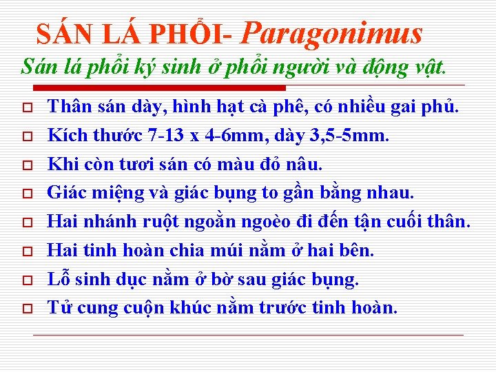 SÁN LÁ PHỔI- Paragonimus Sán lá phổi ký sinh ở phổi người và động