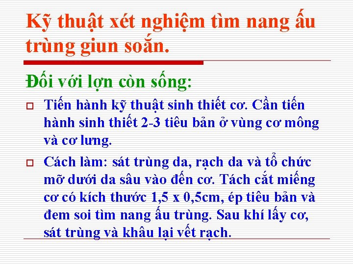 Kỹ thuật xét nghiệm tìm nang ấu trùng giun soắn. Đối với lợn còn