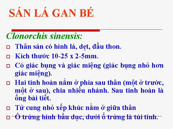 SÁN LÁ GAN BÉ Clonorchis sinensis: o o o Thân sán có hình lá,