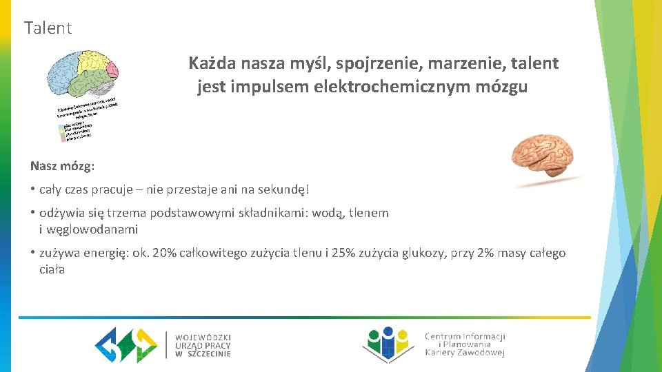 Talent Każda nasza myśl, spojrzenie, marzenie, talent jest impulsem elektrochemicznym mózgu Nasz mózg: •