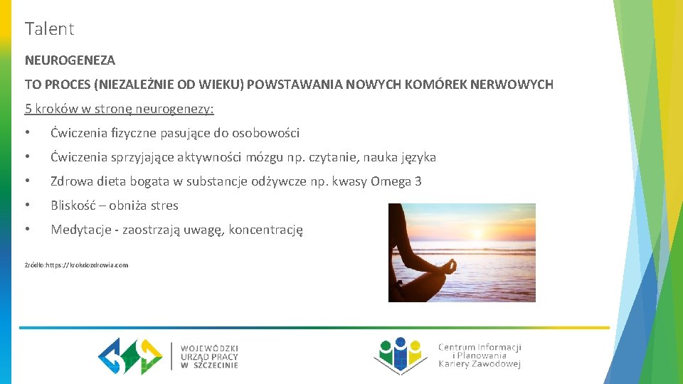 Talent NEUROGENEZA TO PROCES (NIEZALEŻNIE OD WIEKU) POWSTAWANIA NOWYCH KOMÓREK NERWOWYCH 5 kroków w