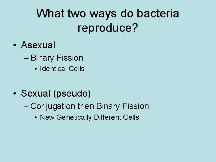 What two ways do bacteria reproduce? • Asexual – Binary Fission • Identical Cells