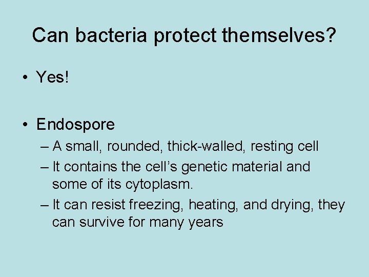 Can bacteria protect themselves? • Yes! • Endospore – A small, rounded, thick-walled, resting