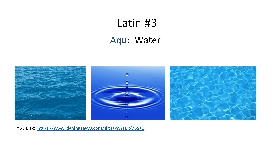Latin #3 Aqu: Water ASL Link: https: //www. signingsavvy. com/sign/WATER/769/1 