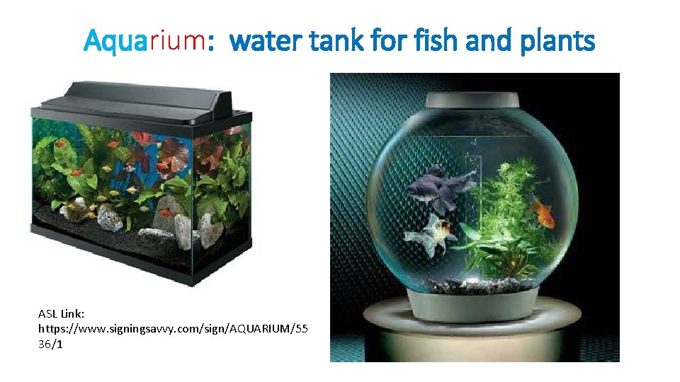 Aquarium: water tank for fish and plants ASL Link: https: //www. signingsavvy. com/sign/AQUARIUM/55 36/1